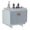 31500kVA 35 KV Oil Immersed Transformer